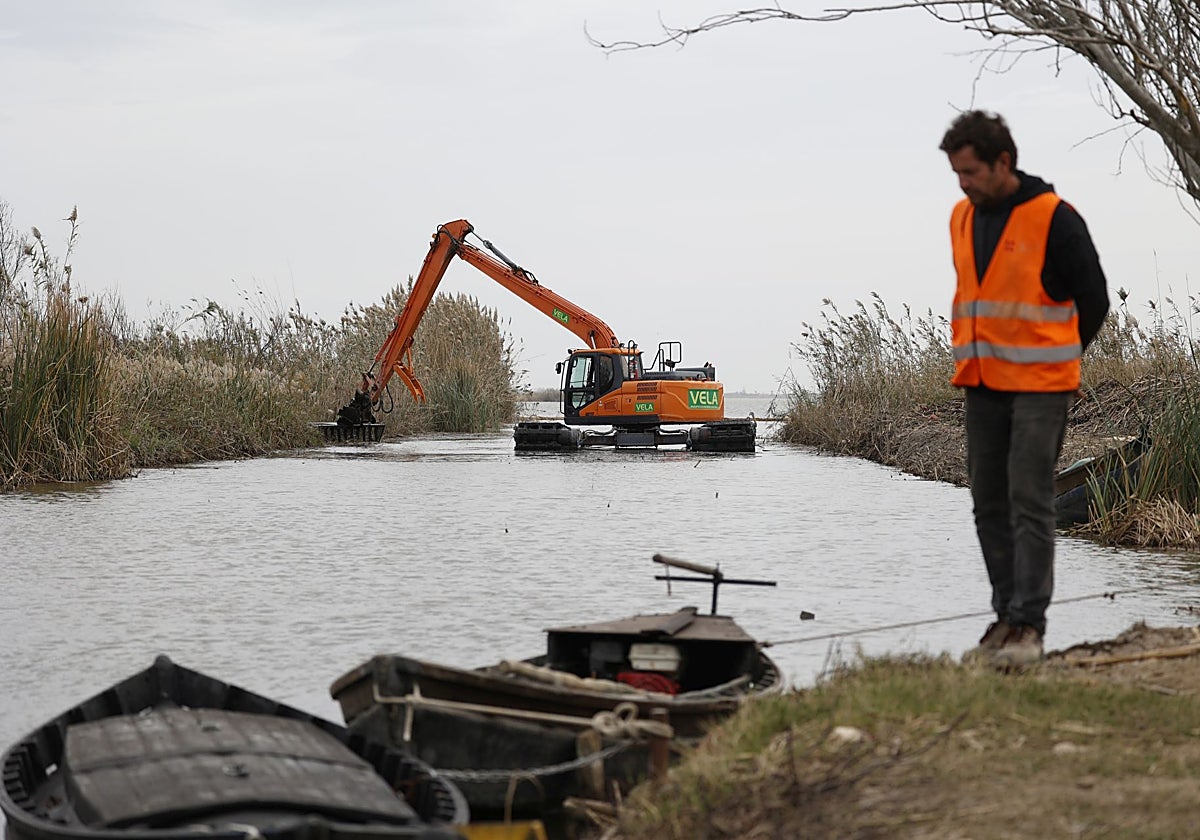 Acciones de limpieza en la Albufera.