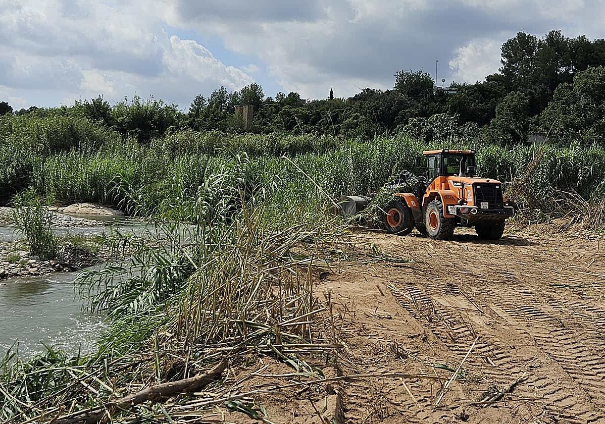 Trabajos de recuperación en el cauce del río Turia.
