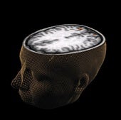 Representación de un cerebro humano.