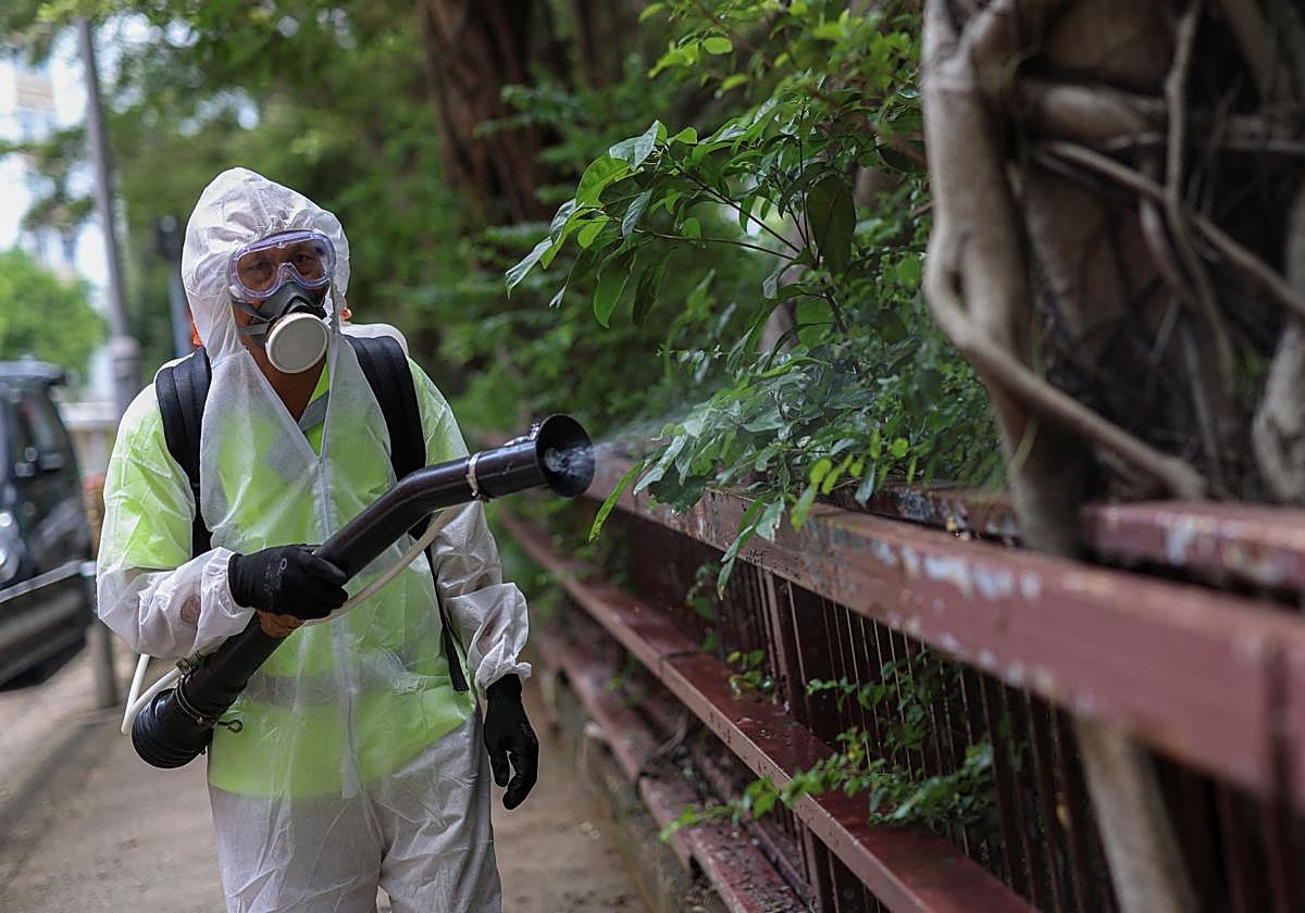 Un operario fumiga en Hong Kong contra el mosquito Aesdes.