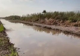 Barranco del Tramusser en Almussafes.