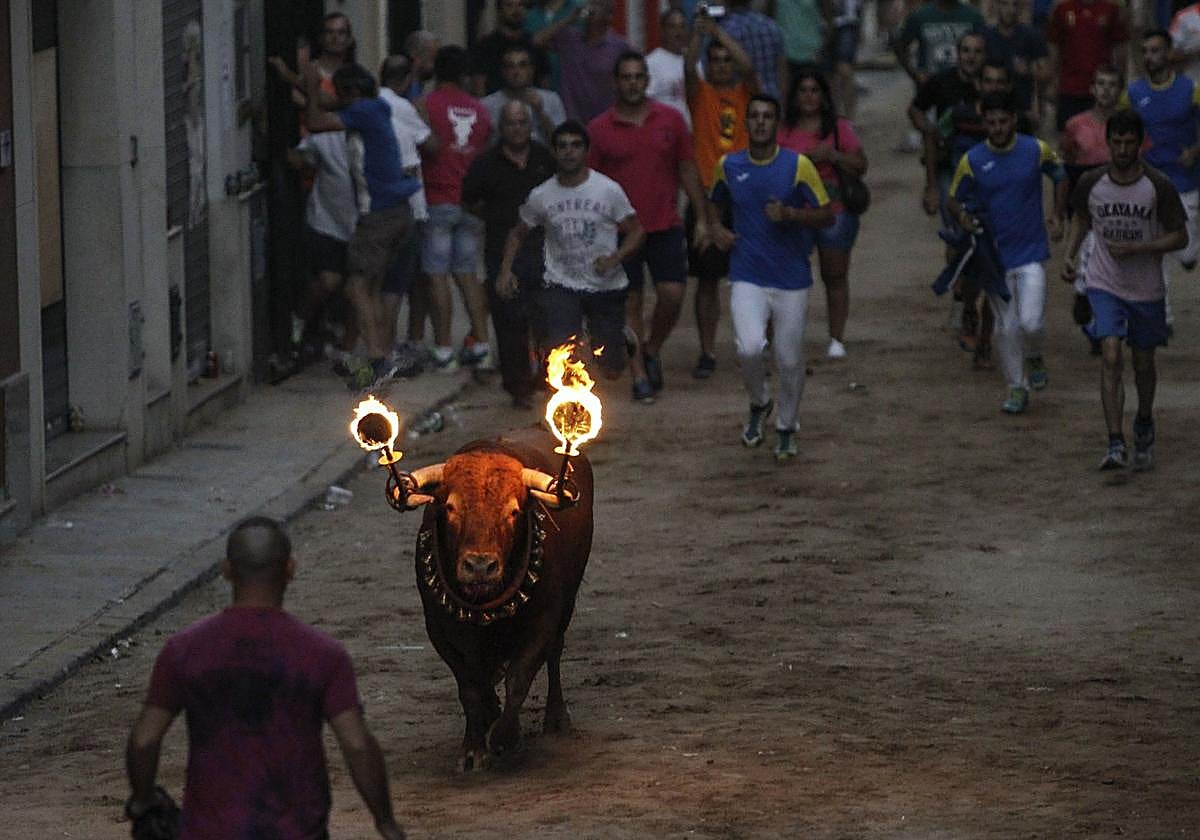 Celebración del toro embolado en Meliana, Valencia