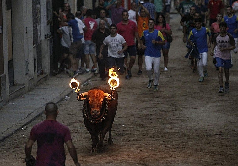 Celebración del toro embolado en Meliana, Valencia