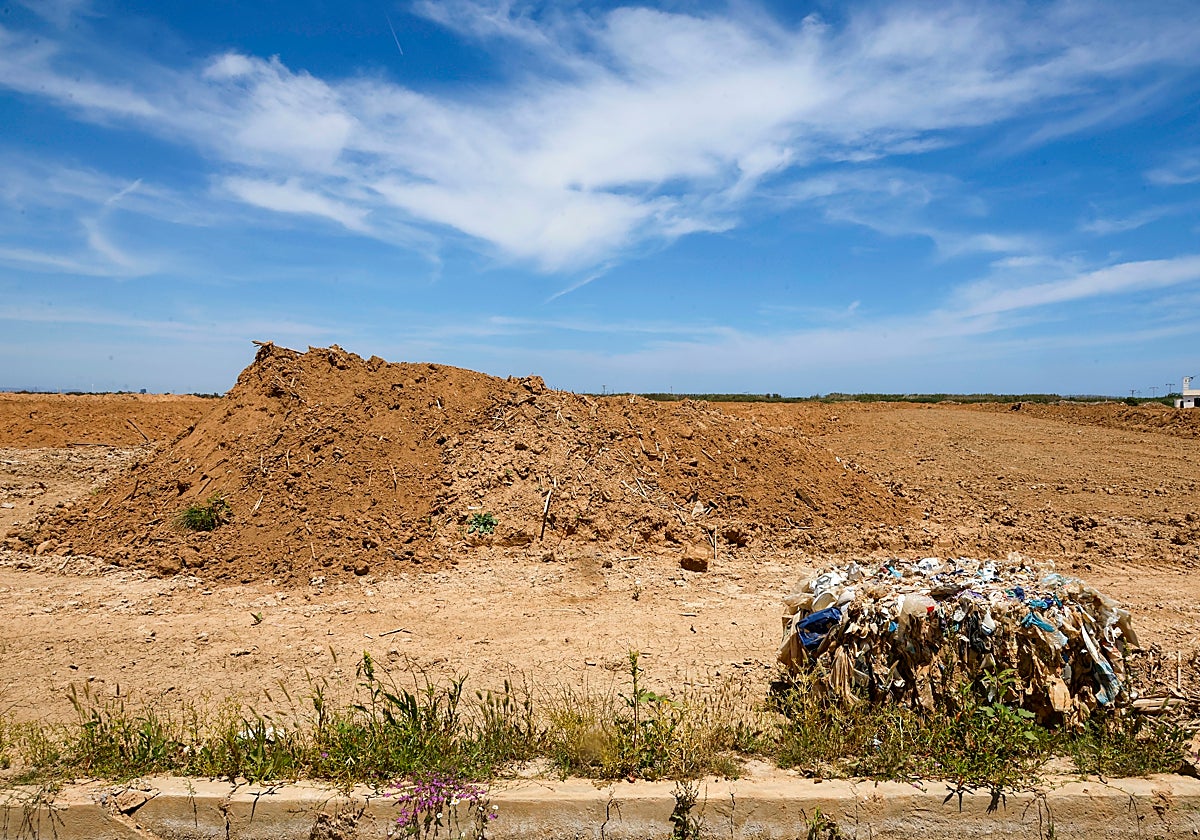 Los campos de arroz afectados por la Dana