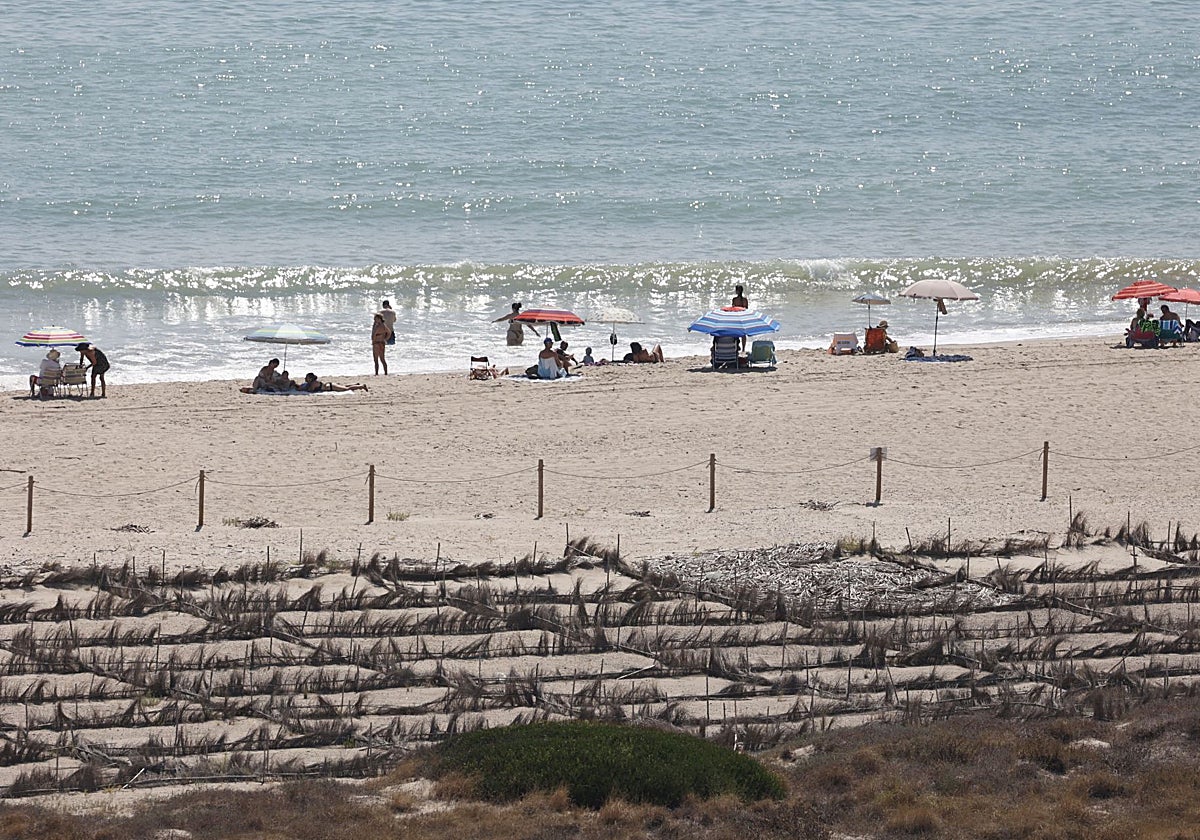 Playa de la Garrofera, en El Saler
