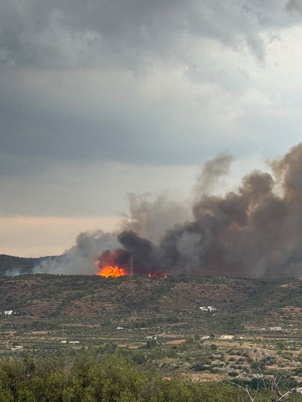FOTOS | Incendio forestal en Teresa de Cofrentes