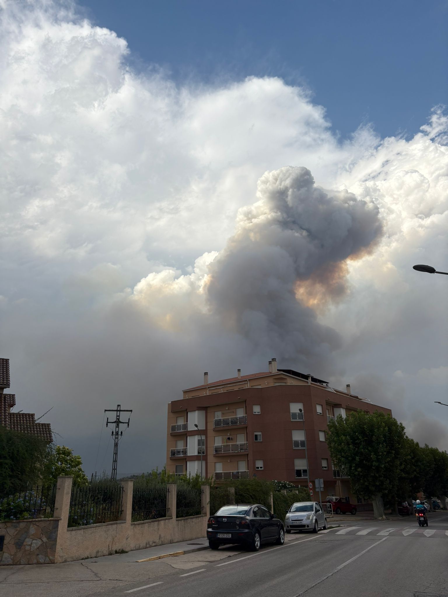 FOTOS | Incendio forestal en Teresa de Cofrentes