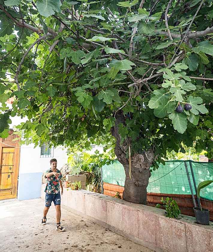 Imagen secundaria 2 - Antiguas cuadras de la alquería, interior de la casa y patio de Ca Zarzo, en Benimaclet.