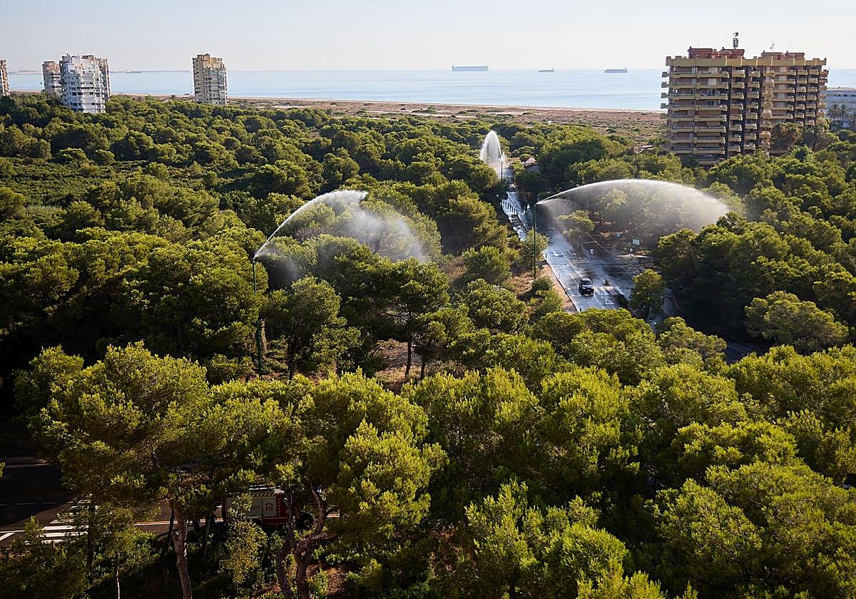Emergencias extiende hasta el lunes 18 de agosto el riesgo extremo de incendios forestales en la Comunitat debido a las altas temperaturas
