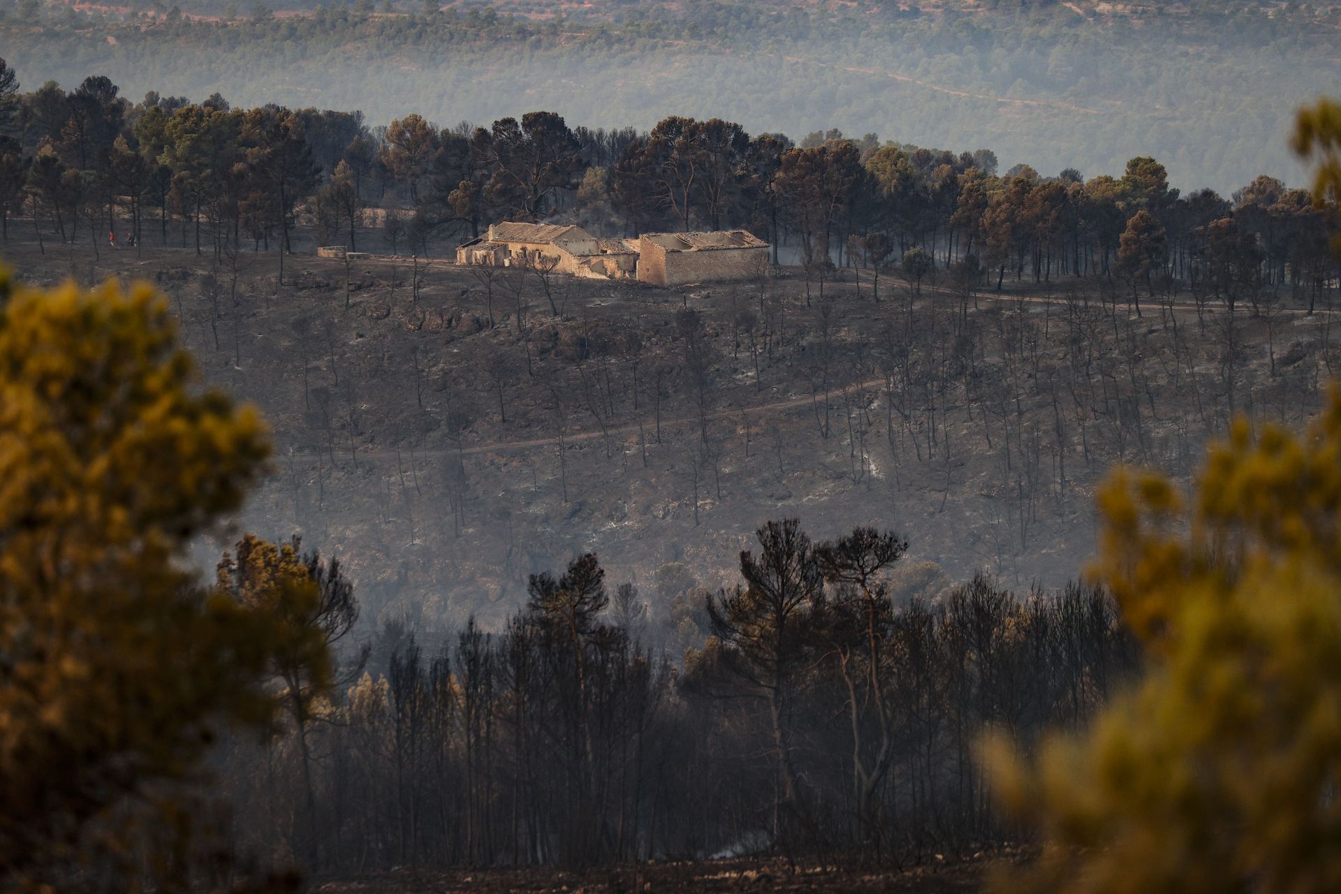 El incendio de Teresa de Cofrentes, en imágenes