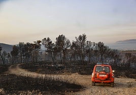Un todo terreno de los bomberos circula por la zona afectada de Teresa, este jueves.