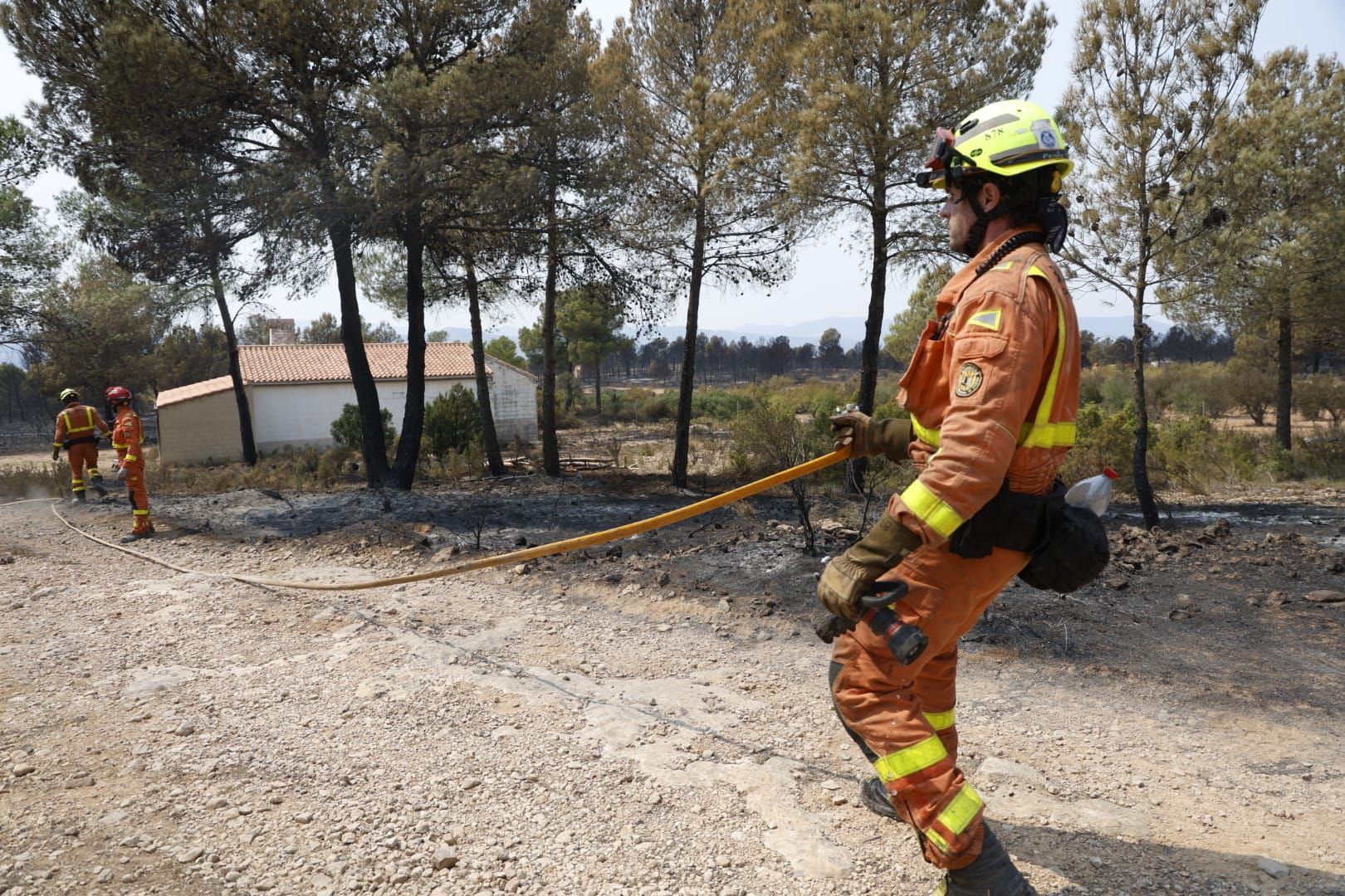 El incendio de Teresa de Cofrentes, en imágenes