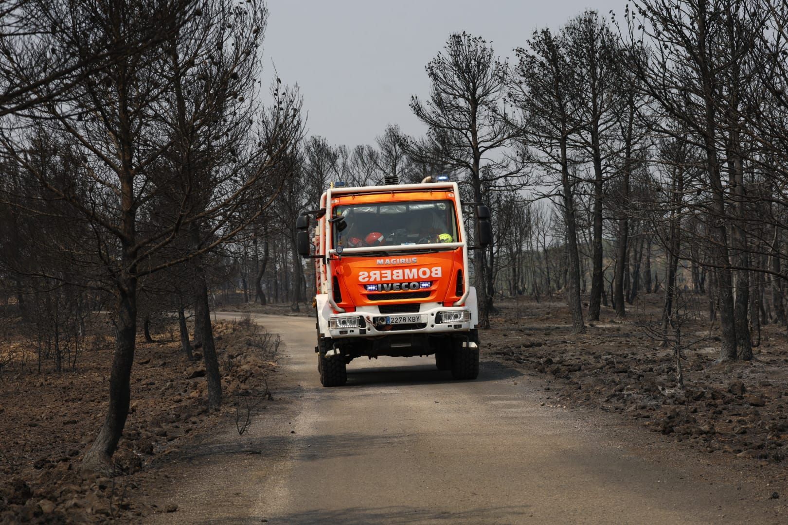 El incendio de Teresa de Cofrentes, en imágenes