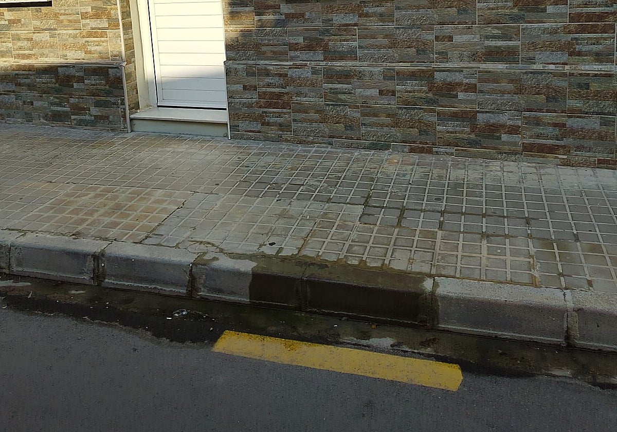 Fuga de agua en la calle Albufera de El Palmar.