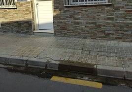 Fuga de agua en la calle Albufera de El Palmar.