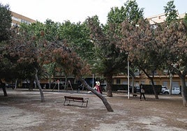 Plaza Hermanos Becquer en Orriols.