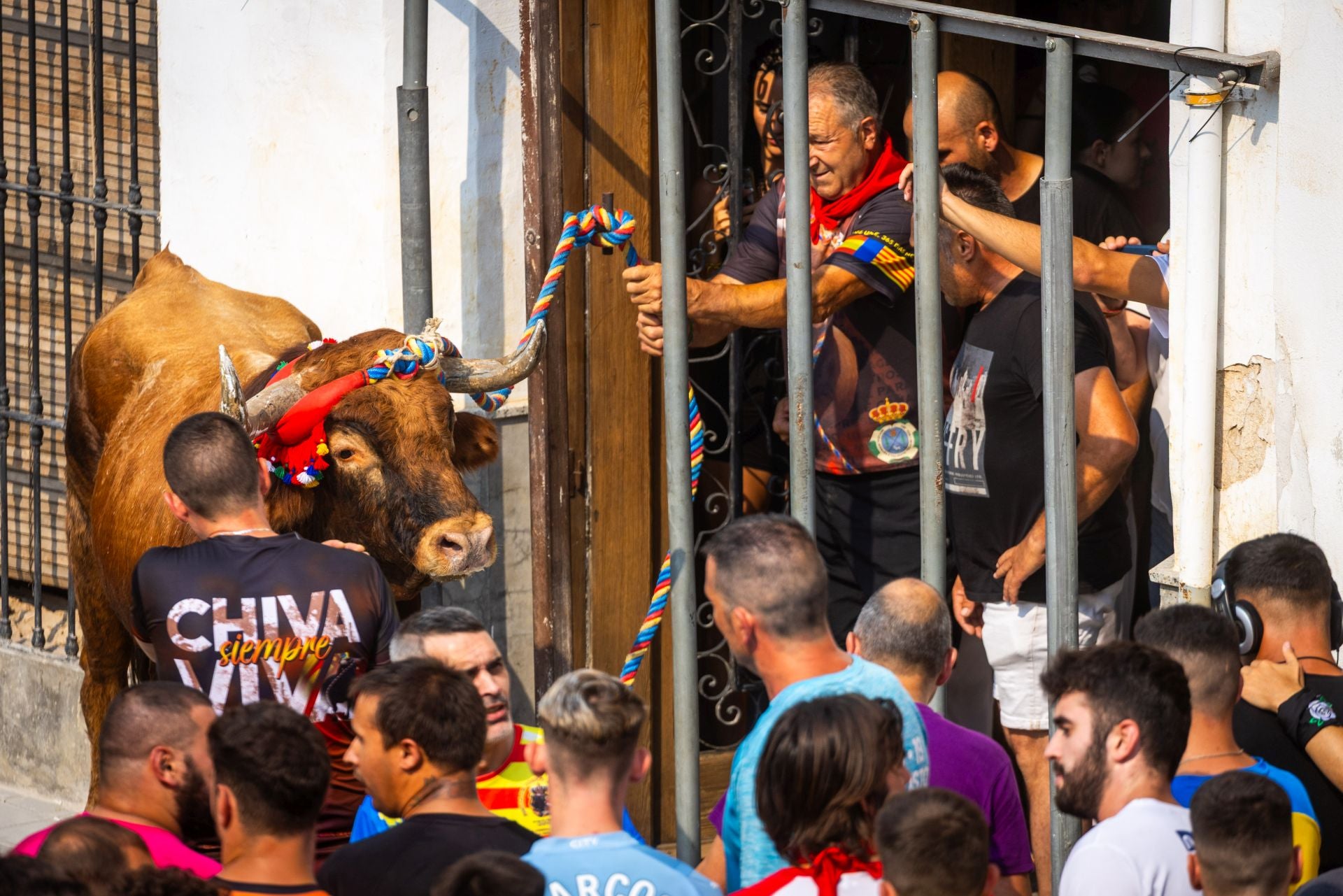 El Torico ya corre por las calles de Chiva como bálsamo contra la dana