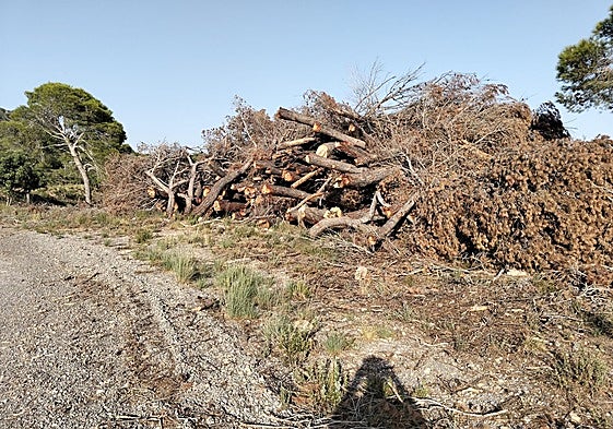 Estado de un camino rural en la Sierra Calderona.