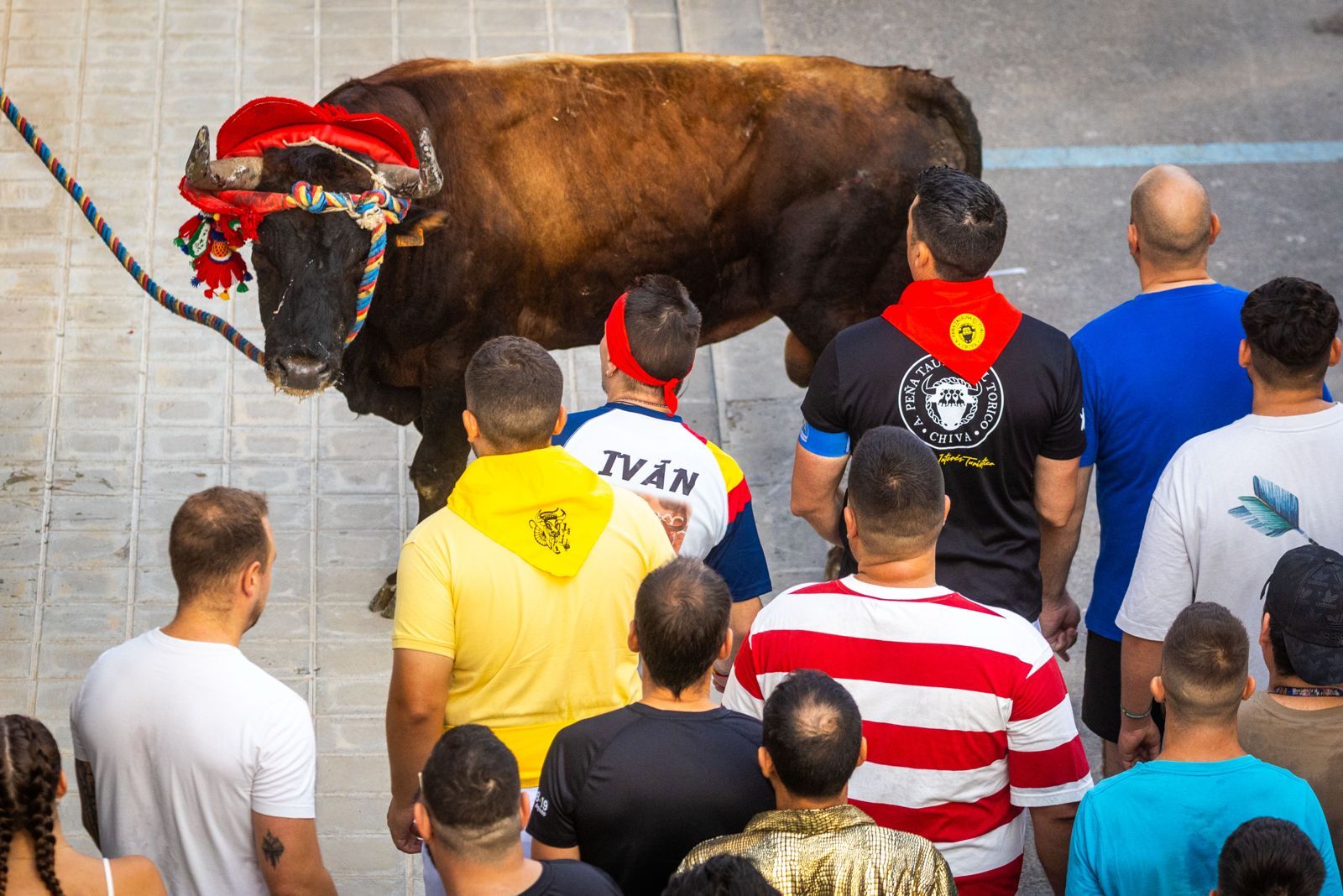 El Torico ya corre por las calles de Chiva como bálsamo contra la dana