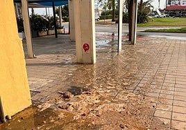 Toallitas y agua sucia en la calle.