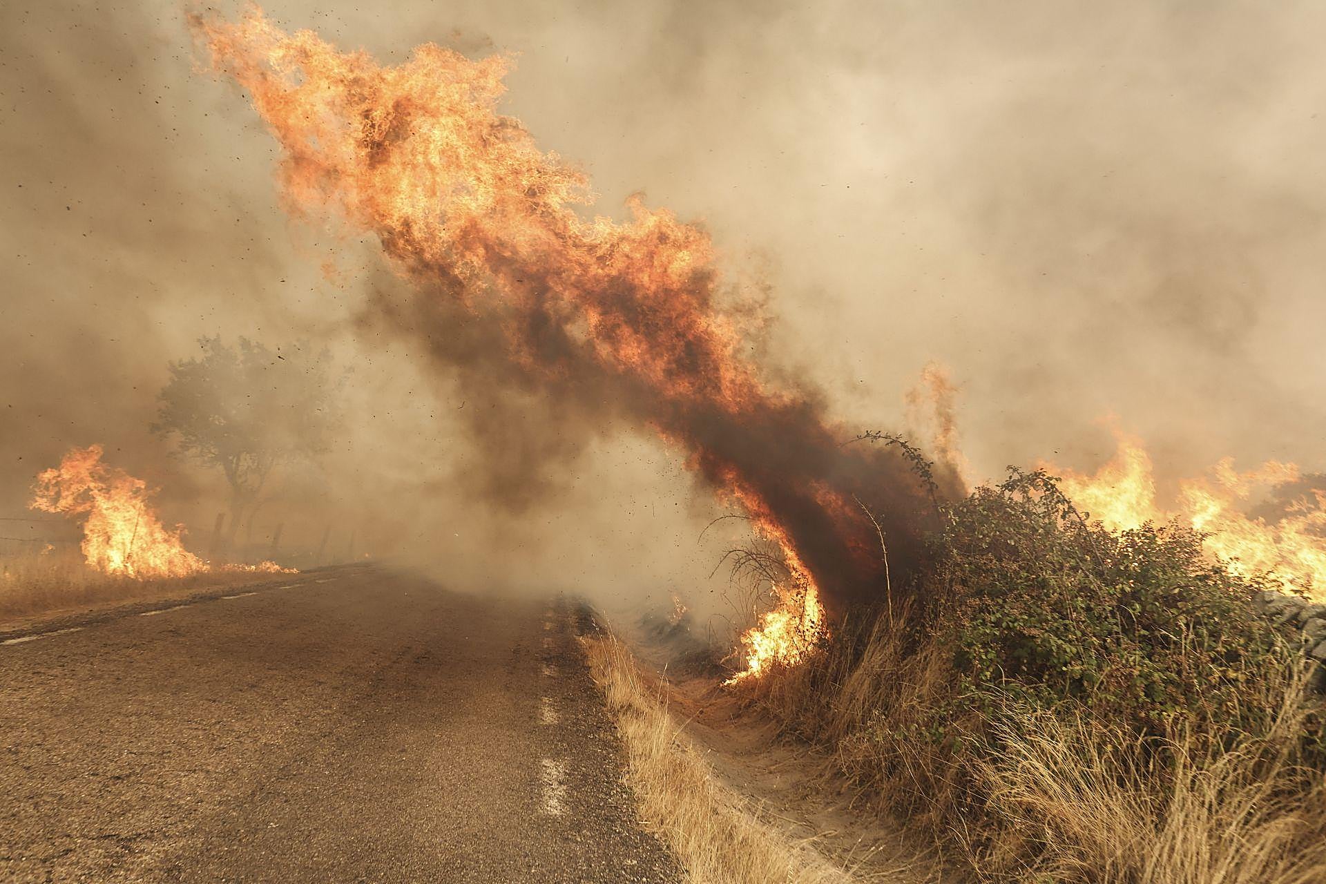Incendio en Cipérez (Salamanca)