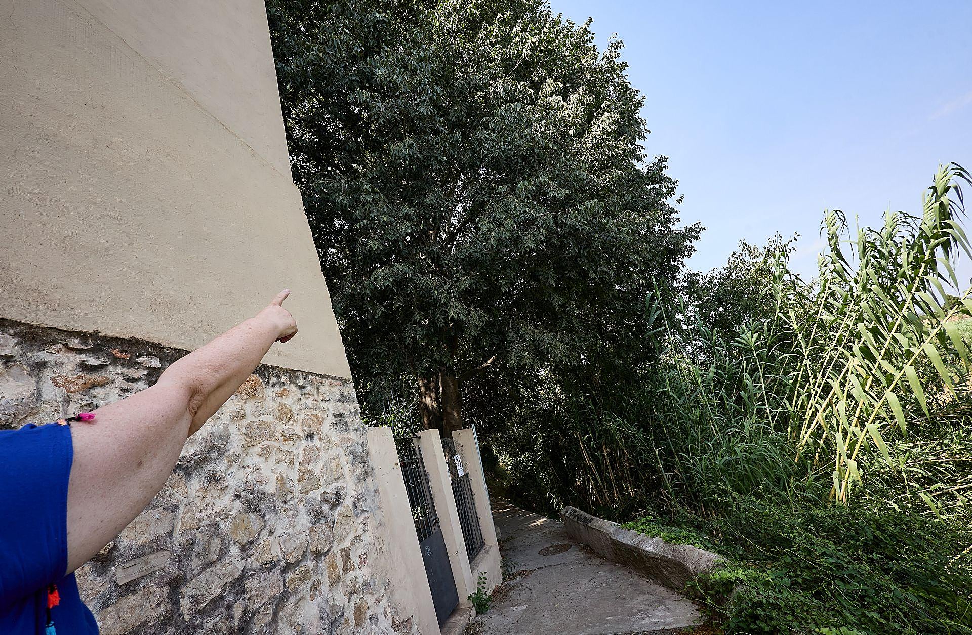 La maleza que invade las viviendas en Riba-roja