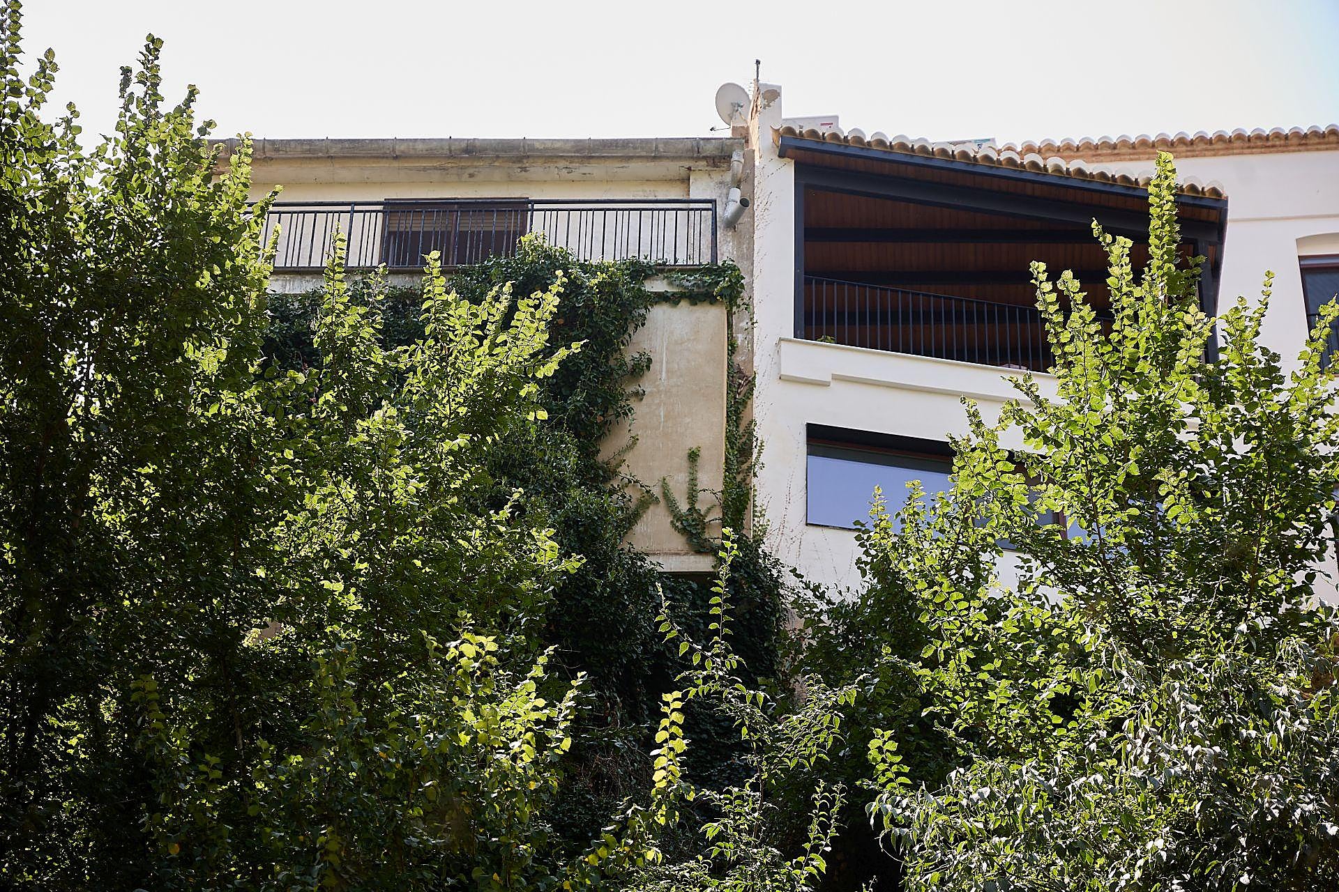 La maleza que invade las viviendas en Riba-roja