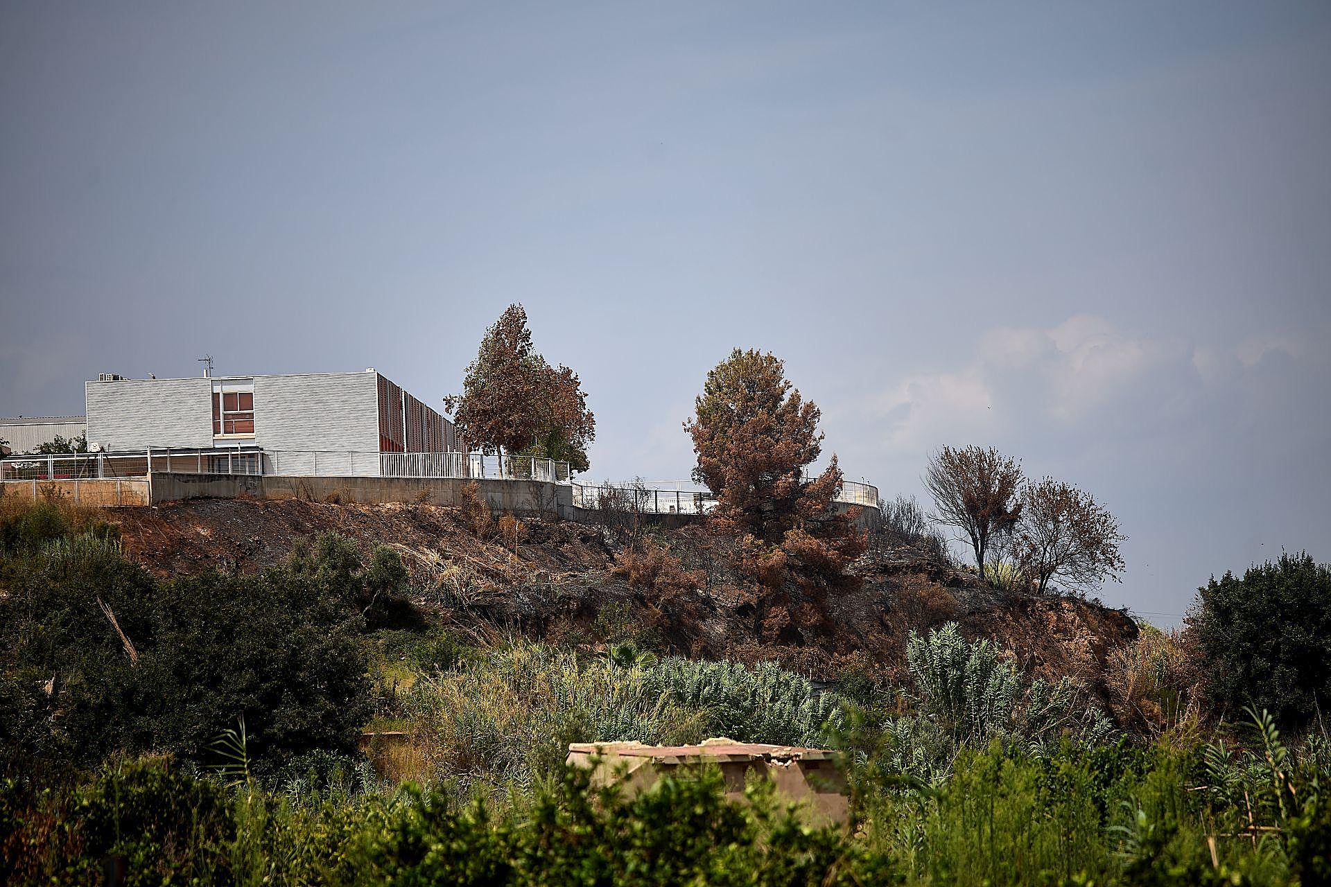 La maleza que invade las viviendas en Riba-roja