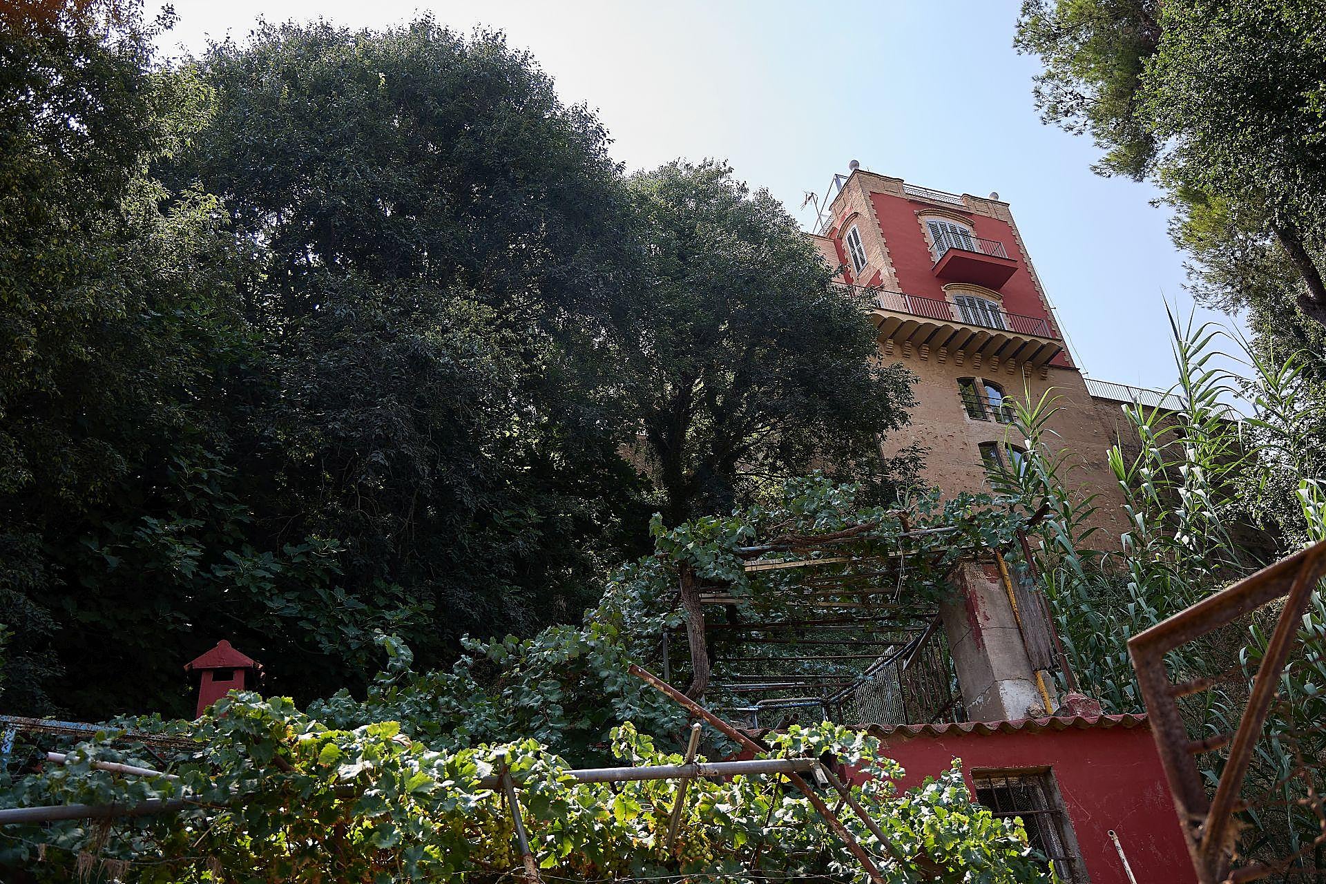 La maleza que invade las viviendas en Riba-roja