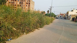 Una de las calles del Raval en Algemesí.