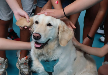 Un estudio demuestra el alto coeficiente emocional de los perros: son seres empáticos