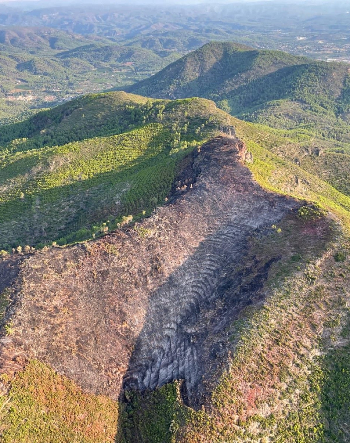 Superficie calcinada en el monte Espino, en Artana.
