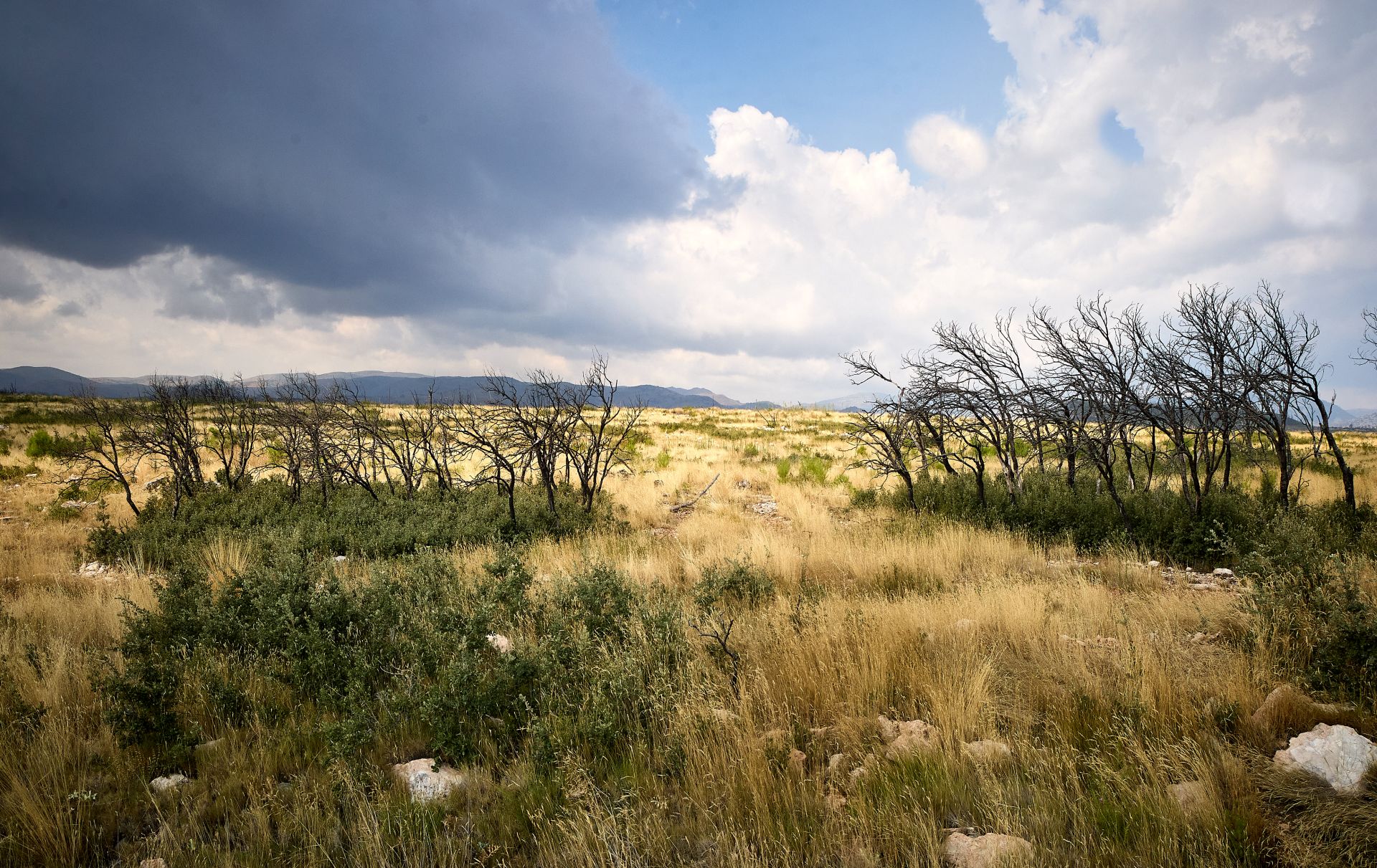 FOTOS | Así está Bejís tres años después del incendio