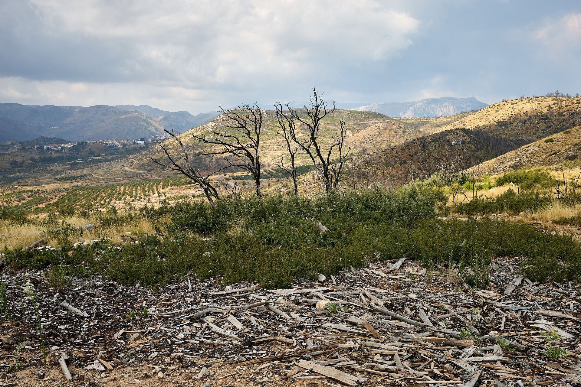 FOTOS | Así está Bejís tres años después del incendio
