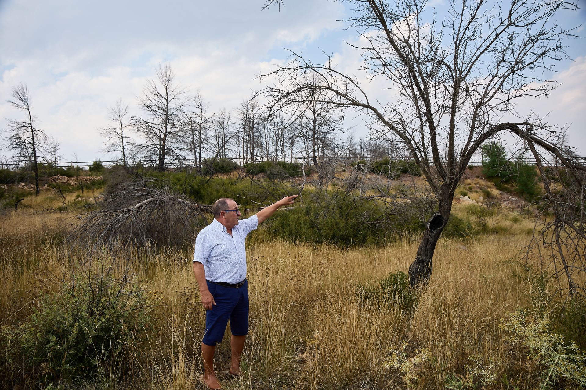 FOTOS | Así está Bejís tres años después del incendio