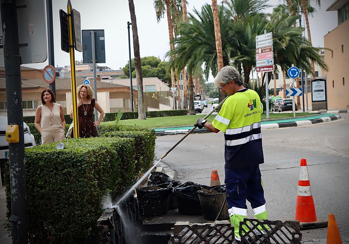 Un operario limpia un imbornal en Torrent.