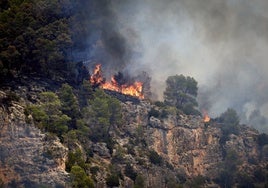 Llamas en el incendio de Teresa de Cofrentes.