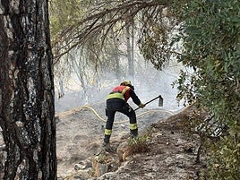 Los bomberos, ayer, durante las tareas de extinción.