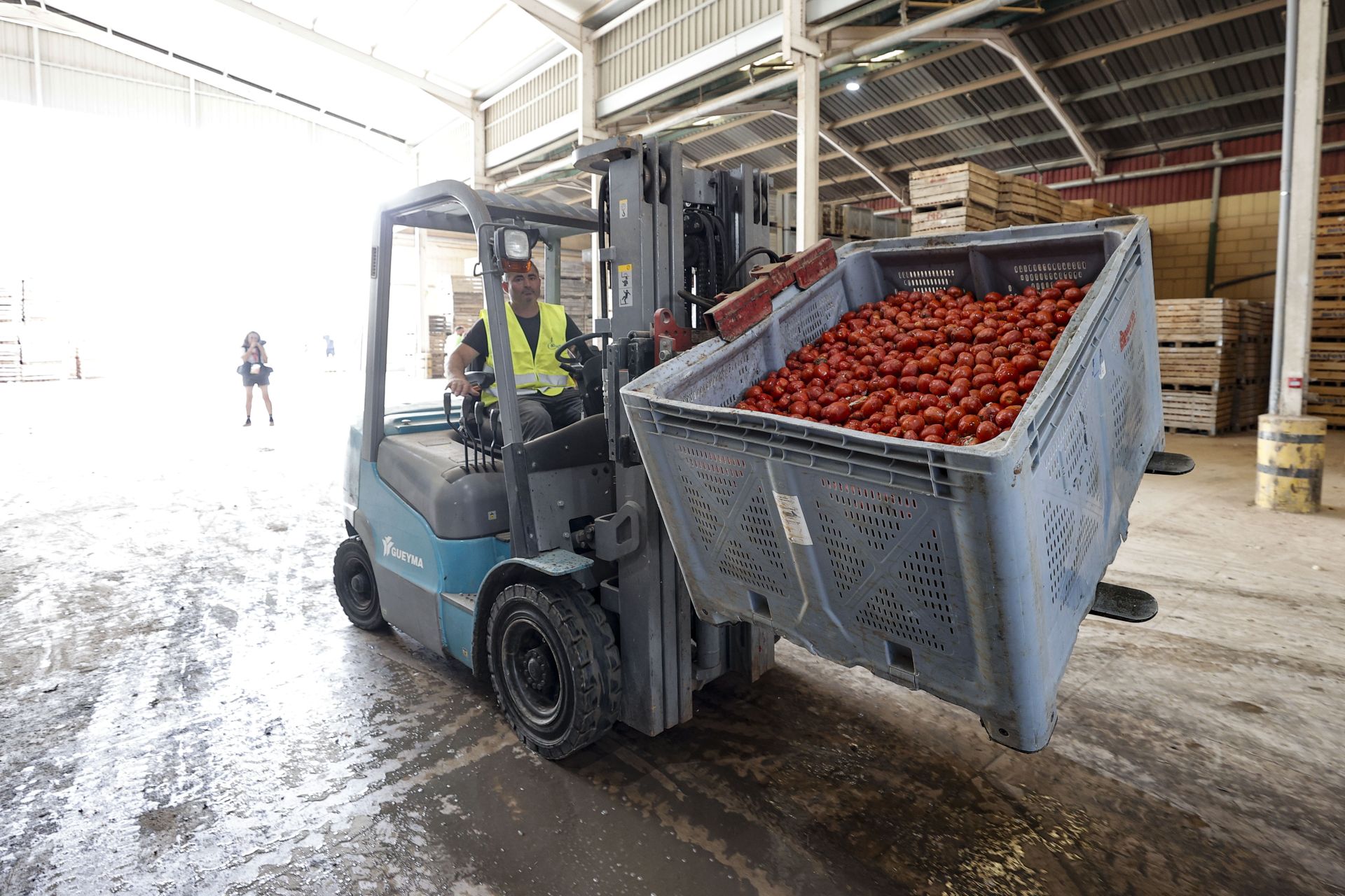 FOTOS | Tomatina de Buñol 2025