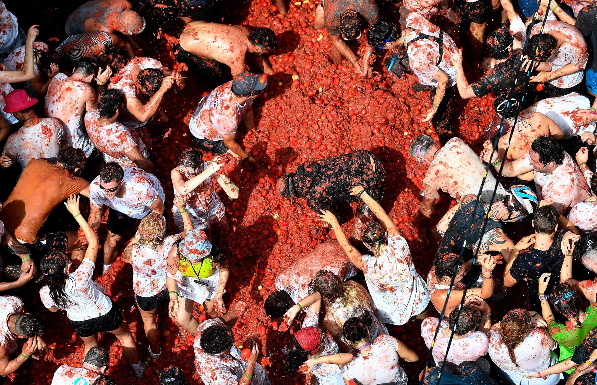 FOTOS | Tomatina de Buñol 2025