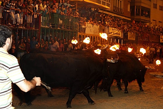 Encierro de Toros Embolados, Burriana
