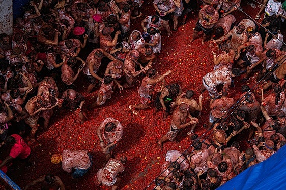 Un momento de la Tomatina de este año.