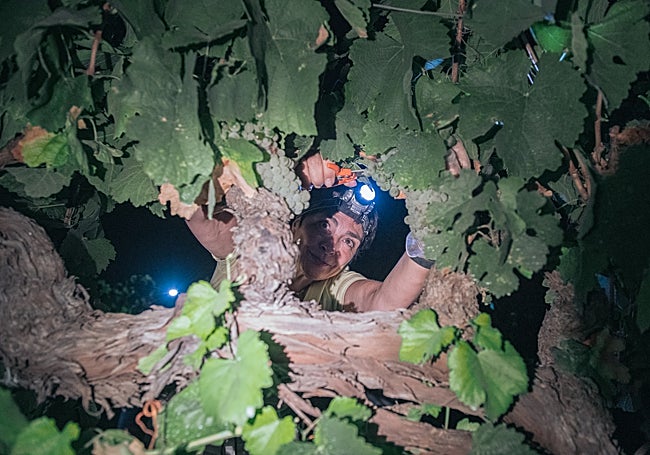 Una experiencia didáctica para los participantes.