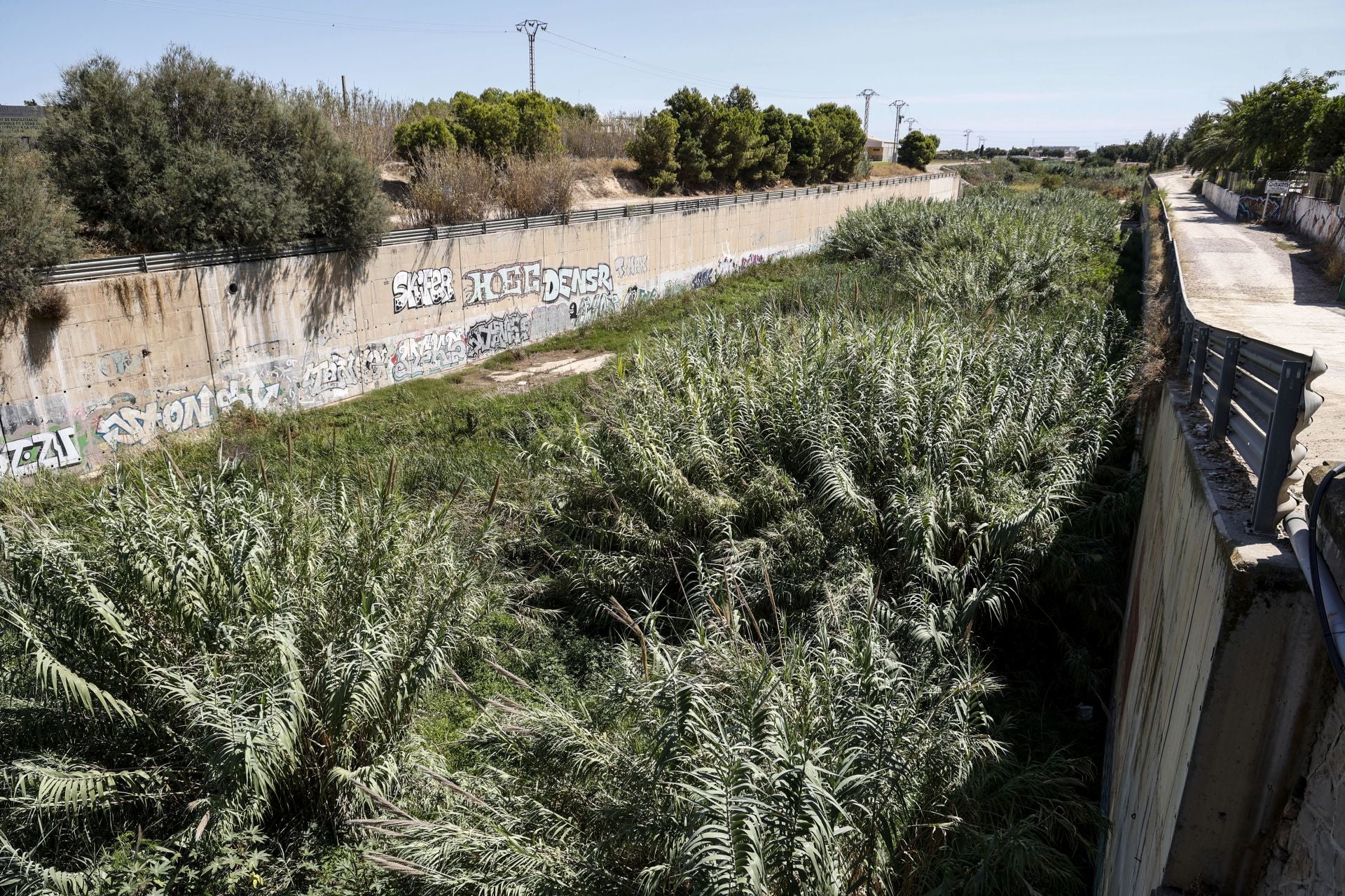 FOTOS | El cauce del Carraixet, repleto de vegetación