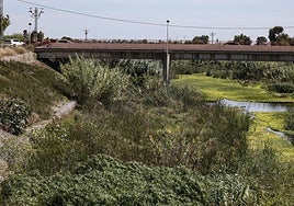 Estado del Carraixet a su paso por Alboraya.