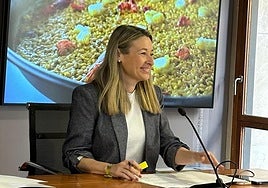 Alicante abre el plazo para solicitar las ayudas de 200.000 euros al comercio, los mercados y la hostelería