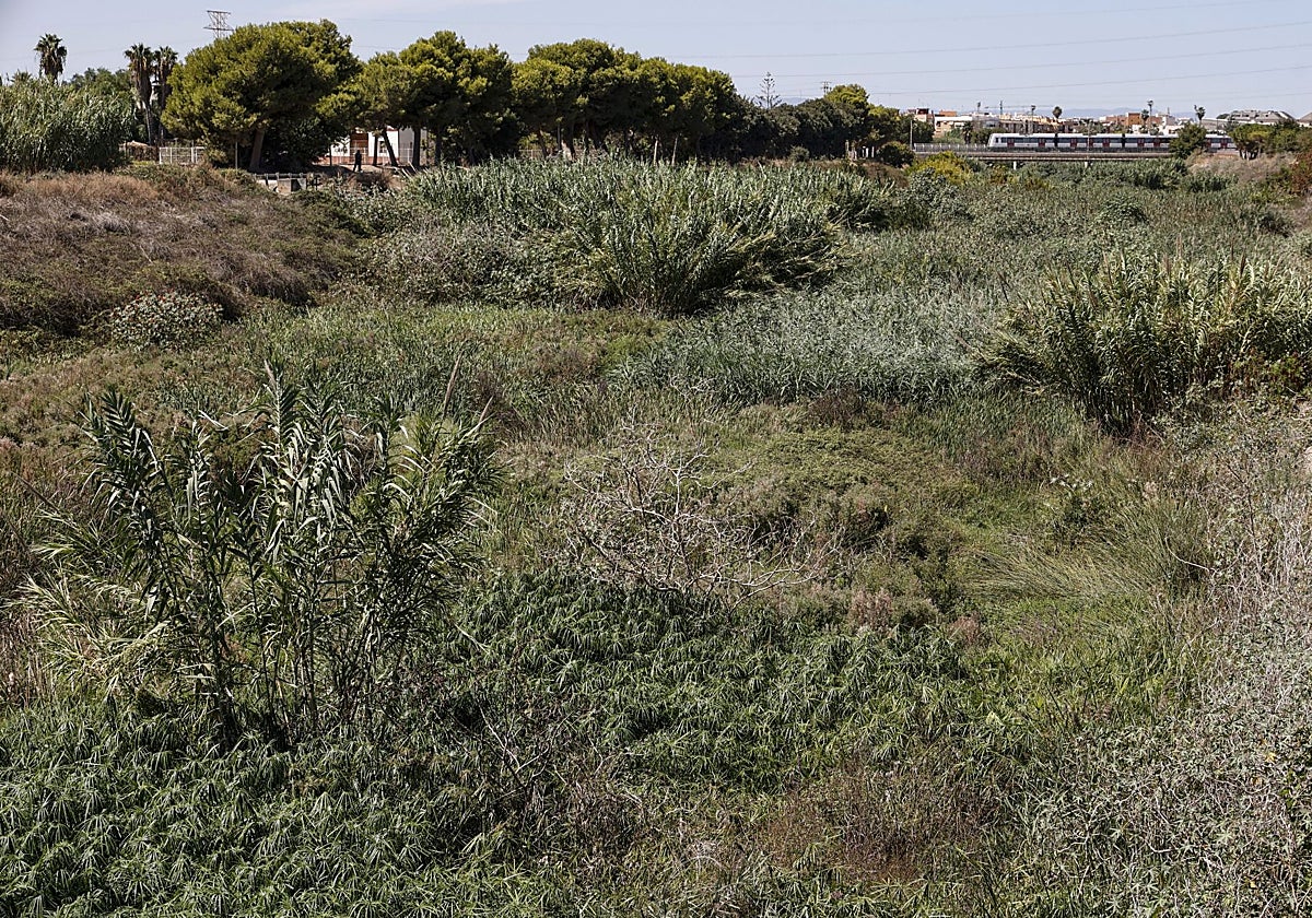 Estado del barranco del Carraixet.
