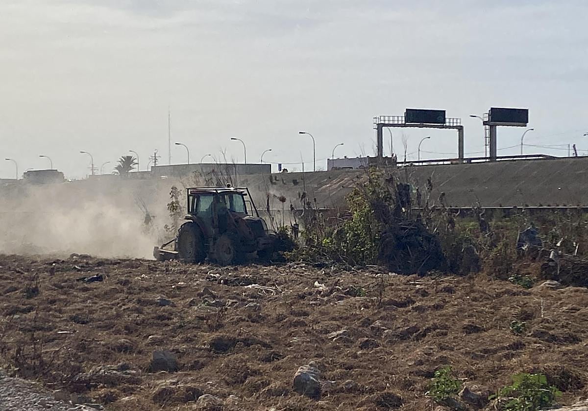 Catalá anuncia que Valencia asumirá a «pulmón» la limpieza del barranco del Carraixet en su término