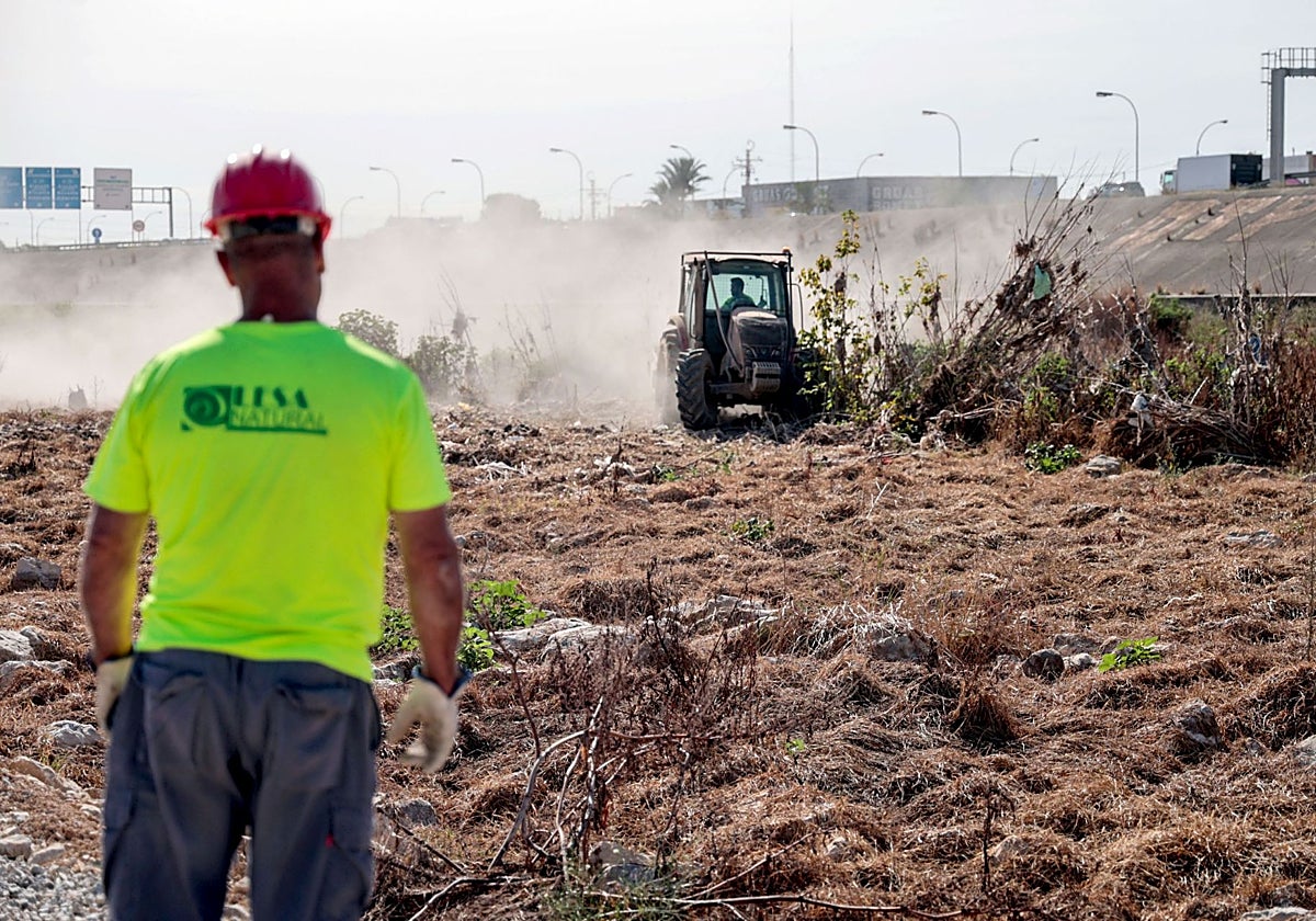 Obras de limpieza del cauce del Turia.