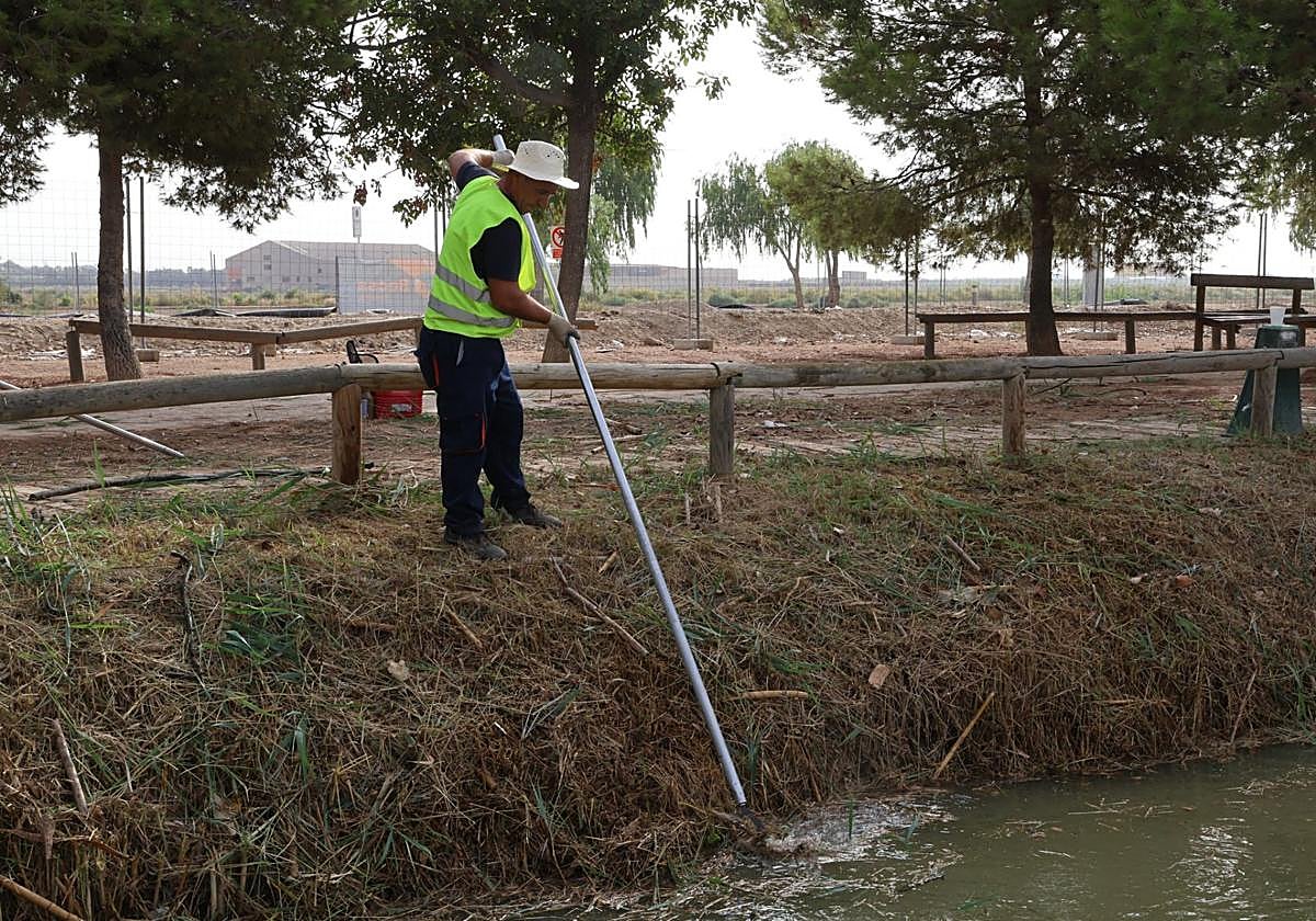 Un operario limpia en una de las riberas del puerto de Catarroja.